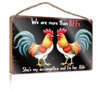 Fun Signs For Home Decor We Are More Than Bffs She'S My Accomplice, And I'M Her Alibi Wooded Sign Pool Decor Wall Decorations(15X28CM)