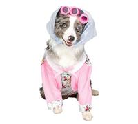 Fun World Grammy Pet Costume, Medium