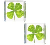 Funabridge 2 Pcs 3D Four-Leaf in Resin, 1.5 in Cube Desk Accessory, Real Flower Specimen Paperweight for Home, Office, Education