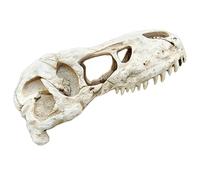 Funabridge T-Rex Skull Reptile Terrarium Decor, Large 8.7 in Resin Dinosaur Skull, Ancient Look Hide Cave, off white Skull for Bearded Dragon, Lizard, Spider, Scorpion