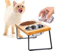 FUNACAY Elevated Cat Bowls, Raised Cat Bowl with 32 oz Stainless Steel Food Bowls Non-Slip Feeder for Cats and Puppy, 15° Tilted Raised Pet Dishes, Indoor Food Bowl with Bamboo Stand Anti Vomiting