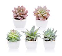 FUNARTY Artificial Succulent Plants in Pots, Fake Succulent Small Potted Faux Succulent Plants, Mini Fake Plants in White Ceramic Pots Set of 5, Desk Plant for Home Bathroom Small Spaces Decoration