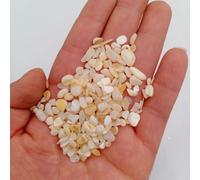 FUNAT Dyed Shell Gravel, Colored Shell Pieces for Phone Case Decoration, Decorative Artificial Stone for Jewelry Tumbled Crystals Polished Rocks Stones Stones