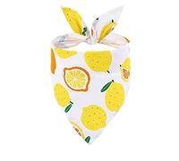 FUNAT Pet Dog Triangle Scarf Summer Fruit Fresh Dog Saliva Towel Pet Scarf, Spring Summer Hawaii Fruit Pattern Dog Bandana Dog Scarf Bibs Kerchief
