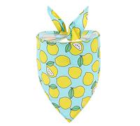 FUNAT Pet Dog Triangle Scarf Summer Fruit Fresh Dog Saliva Towel Pet Scarf, Spring Summer Hawaii Fruit Pattern Dog Bandana Dog Scarf Bibs Kerchief