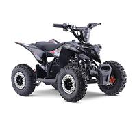 FunBikes Excite 50cc Premium Grey Kids Mini Petrol Quad Bike - 2-Stroke Engine, Easy Pull Start, Twin-Muffler Exhaust, 6" Off-Road Tyres, Disc Brakes