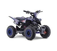 FunBikes Excite 50cc Premium Kids Mini Petrol Quad Bike - 2-Stroke Engine, Easy Pull Start, Twin-Muffler Exhaust, 6" Off-Road Tyres, Disc Brakes (Blue)