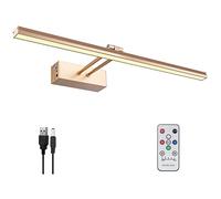 FUNCHDAY Picture Light,5000mAh Battery Operated Picture Light for Wall,Wireless Remote Painting Light with Timer and Dimmable,16”Metal Art Light for Display,Wall,Artwork,Portrait,Gallery-RoseGold