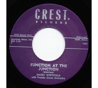 Function At The Junction - Take The Hint 7inch, 45rpm