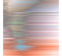 Function - Awakening From The Illusory Self [VINYL]