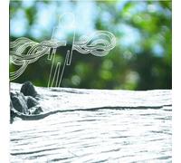 Function - The Secret Miracle Fountian