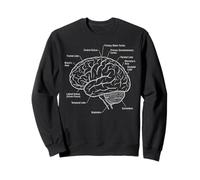Functional Brain Areas Neuroscience Anatomy Diagram Sweatshirt