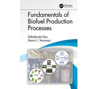 Fundamentals of Biofuel Production Processes
