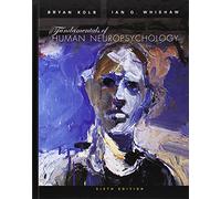 Fundamentals of Human Neuropsychology