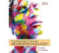 Fundamentals of Human Neuropsychology