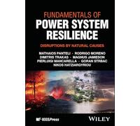 Fundamentals of Power System Resilience: Disruptions by Natural Causes