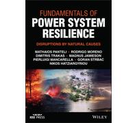 Fundamentals of Power System Resilience: Disruptions by Natural Causes