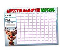 Fundraising Scratch card Game Predict the Reindeers Name Christmas Fete Fayre Party