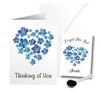 Funeral Sympathy Card/Condolences Card With Sympathy Gift of Forget Me Not Seeds Matching Seed Packet Memory Card - Thinking of You