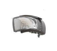 FUNFOB Wing Mirror Indicator 1C0949101E 1C0949102E Car Side Rear View Mirror Indicator Light Turn Signal Light For Vw 2006 2007 2008 2009 2010 Dynamic Turn Signal(Right)