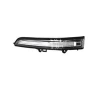 FUNFOB Wing Mirror Indicator For Saic For Maxus T60 T70 Pickup Led Front Side Rearview Mirror Turn Signal Light Rear View Mirror Blinker Indicator Light Lamp Dynamic Turn Signal(Left)