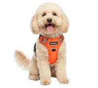 Funfox Dog Harness Small, No Pull Puppy Harness with Vertical Handle, 2 Leash Clips, Reflective Strips Night Walking, Anti Pull Adjustable Padded Pet Vest Size for Small Breed, Orange S