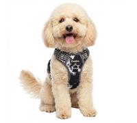Funfox Dog Harness Small, No Pull Puppy Harness with Vertical Handle, 2 Leash Clips, Reflective Strips Night Walking, Anti Pull Adjustable Padded Pet Vest Size for Small Breed, Misty Gray S
