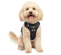 Funfox Dog Harness Small, No Pull Puppy Harness with Vertical Handle, 2 Leash Clips, Reflective Strips Night Walking, Anti Pull Adjustable Padded Pet Vest Size for Small Breed, Black S