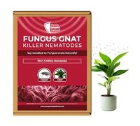 Fungus Gnat Killer Nematodes 10 m² (5 million) Indoor Plants - Effective Biological Control, Ideal Gnats Killer Indoor Plants, Comprehensive Scairid Fly Killer for Houseplants