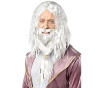 Funidelia | Dumbledore Wig and Beard - Harry Potter for man Wizards, Gryffindor - Accessories for adults, fancy dress costumes & props for Halloween, carnival & parties - Grey/Silver