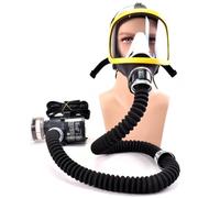 funifuni Electric Constant Flow Supplied Air Fed System - Full Face Chemical Gas Respirator for Pesticide Spray Silicone Filters Laboratory Welding Dustproof Paint