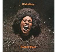Funkadelic Maggot Brain Iconic Album Cover Poster Various Sizes