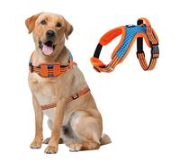 FUNKEEN Dog Harness No Pull Pet Harness, Adjustable Breathable Comfortable Pet Vest, Reflective Oxford Dog Harness with Safety Buckle for Small Medium Large Dogs - S,Royal Blue