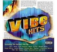 Funkmaster Flex - Vibe Hits