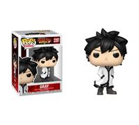 Funko Fairy Tail Gray Figure Chase