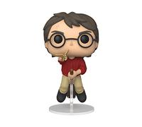 Funko Pop Harry Potter with Flying Key - 2021 Funkon Summer Convention Exclusive