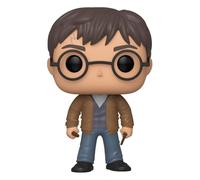 Harry Potter With Two Wands Ltd Pop #118 Vinyl Figure Funko