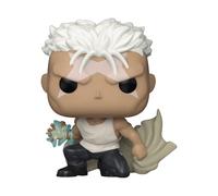 Funko Pop Animation: Full Metal Alchemist: Brotherhood - Scar Standard