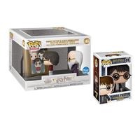 Funko POP! Harry Potter Collector Set- Harry Potter Mirror of Erised Movie Moment and Harry Potter POP!