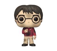 Funko POP Harry Potter w/ Stone 3.75" Vinyl Figure (#132)