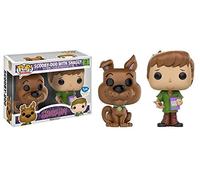 FUNKO POP! SCOOBY DOO with SHAGGY 2 pack set, fye USA Exclusive Limited Edition