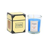 Funky Candles Sicilian Strawberry Scented Classic 22oz Large Jar Single Wick Candle Burns Over 110 Hours Vintage Candlestick Holders Candle Warmer Lamp (Blue, One Size)