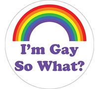 Funky Gifts I'm Gay So What? Vinyl Sticker