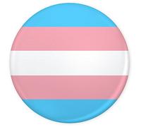 Funky Gifts Transgender Pride Flag 25mm Fridge Magnet