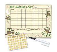 Funky Monkey House Re-usable Reward Chart, (including FREE Star Stickers and Pen) -Owl Design