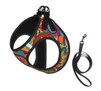 Funky Retro Colorful Mandala Pattern No Pull Dog Harness and Leash Set, Cute Reflective Adjustable Vest for Small Dogs,Breathable Mesh Puppy Harness for Walking Hiking,Medium