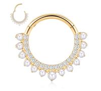 FUNLMO 16G 18G Septum Daith Jewelry Nose Ring Hoop Cartilage Earring Rook Tragus Helix Conch Piercing Jewelry 316L Surgical Steel Clicker, Stainless Steel, Cubic Zirconia, cubic zirconia