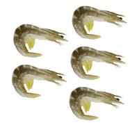 FUNNETOYU 10pcs Imitation Shrimp Fake Food Simulation Shrimp Model Decorations for Photography Props and Boys and Girls Role Play Toys Early Educational Plaything