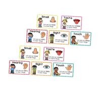 FUNNETOYU 2 Sets Flashcards Educational Posters for Cognitive Development Multi Sensory Learning Tools for Preschoolers and Early School Age Reusable Classroom and Home Decor