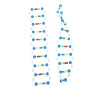 FUNNETOYU 2pcs Dna Double Helix Model Kit Accurate Biology Teaching Tool for Secondary and Postsecondary Science Classes Educational Dna Structure Display for Genetics and Molecular Study
